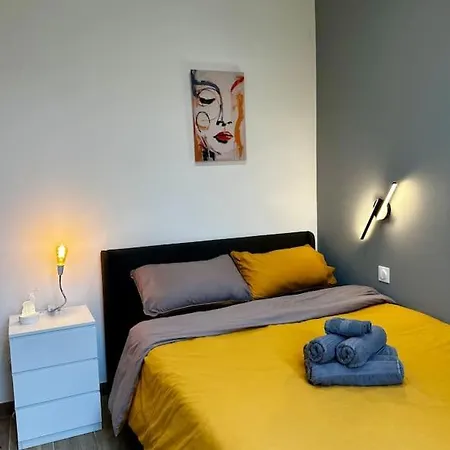Chic Renovated 2 Bedroom Entire Or Only Private In Liberation In With Garage On Demand, Ac, Wi-fi And Tram Access * Nice