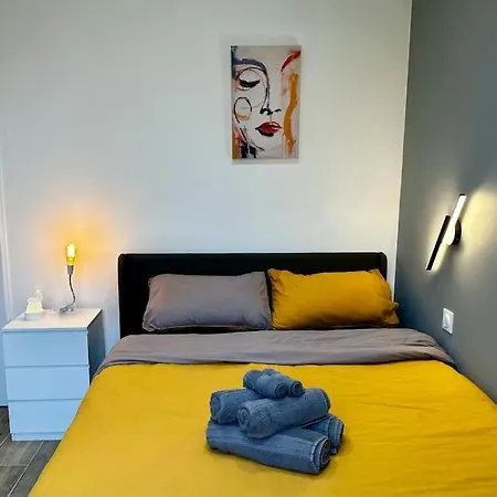 Apartment Chic Renovated 2 Bedroom Entire Or Only Private In Liberation In With Garage On Demand, Ac, Wi-fi And Tram Access