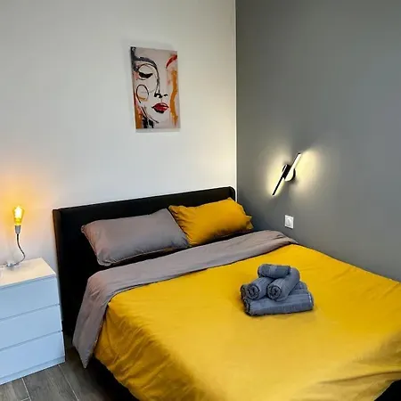 Chic Renovated 2 Bedroom Entire Or Only Private In Liberation In With Garage On Demand, Ac, Wi-fi And Tram Access