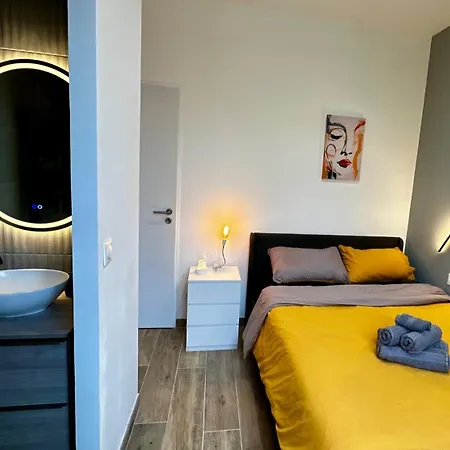 Chic Renovated 2 Bedroom Entire Or Only Private In Liberation In With Garage On Demand, Ac, Wi-fi And Tram Access Apartment Nice