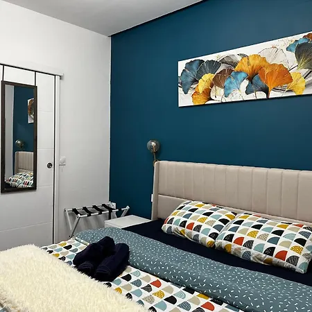 Chic Renovated 2 Bedroom Entire Or Only Private In Liberation In With Garage On Demand, Ac, Wi-fi And Tram Access Nice