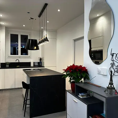 Chic Renovated 2 Bedroom Entire Or Only Private In Liberation In With Garage On Demand, Ac, Wi-fi And Tram Access Nice