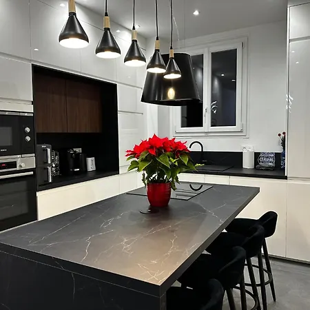 Chic Renovated 2 Bedroom Entire Or Only Private In Liberation In With Garage On Demand, Ac, Wi-fi And Tram Access *