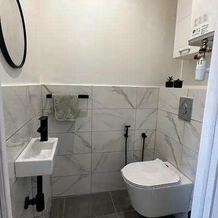 Apartman Chic Renovated - Liberation - Entire 2br 2ba Or Private With Private Bathrooms - Ac And Garage On Request